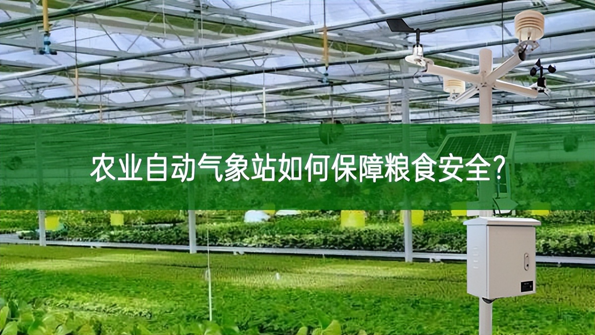 農業自動氣象站如何保障糧食安全?