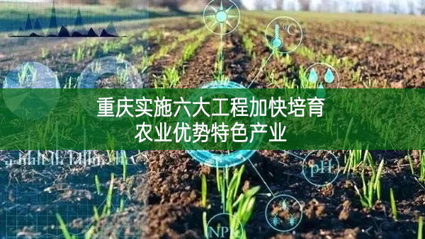 重慶實施六大工程加快培育農業優勢特色產業
