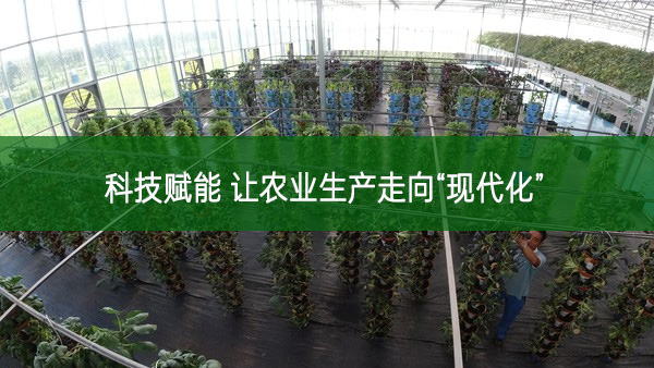 科技賦能 讓農業(yè)生產走向“現代化”