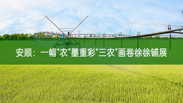 安順：一幅“農(nóng)”墨重彩，“三農(nóng)”畫卷徐徐鋪展