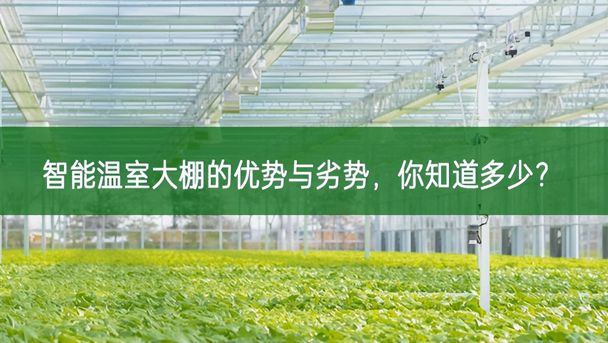 智能溫室大棚的優(yōu)勢與劣勢，你知道多少?