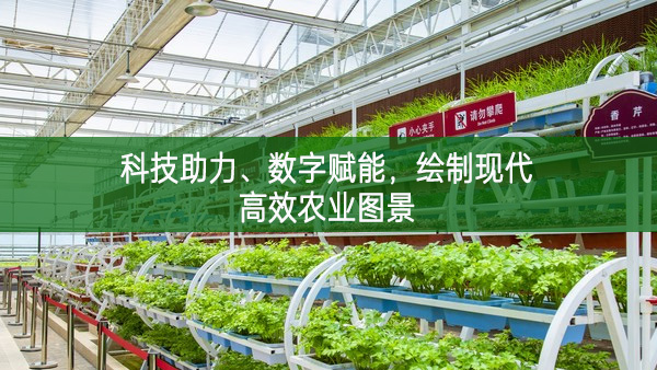 科技助力、數字賦能,繪制現代高效農業圖景