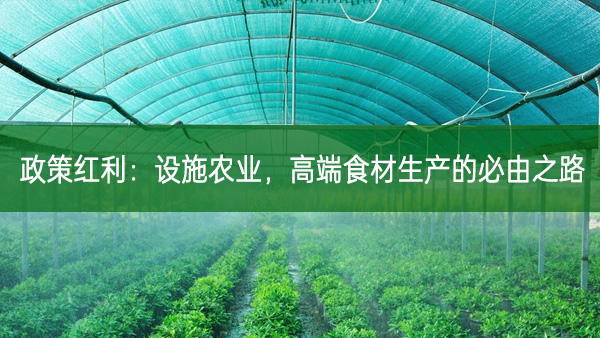 政策紅利:設施農業和高端食材生產的必由之路