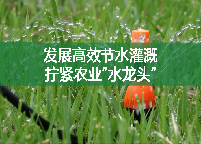 發展高效節水灌溉，擰緊農業“水龍頭”