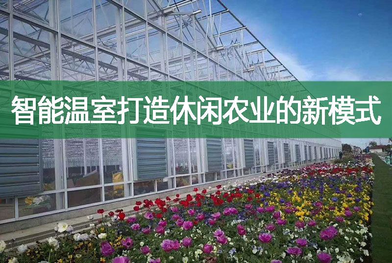 智能溫室打造休閑農業的新模式