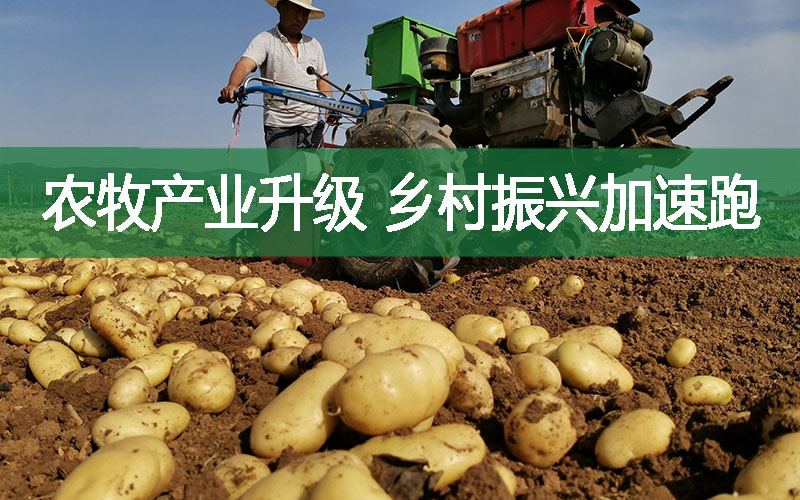 農(nóng)牧產(chǎn)業(yè)升級(jí)，鄉(xiāng)村振興加速跑