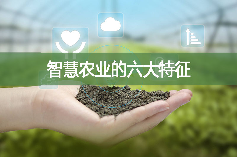 智慧農業的六大特征