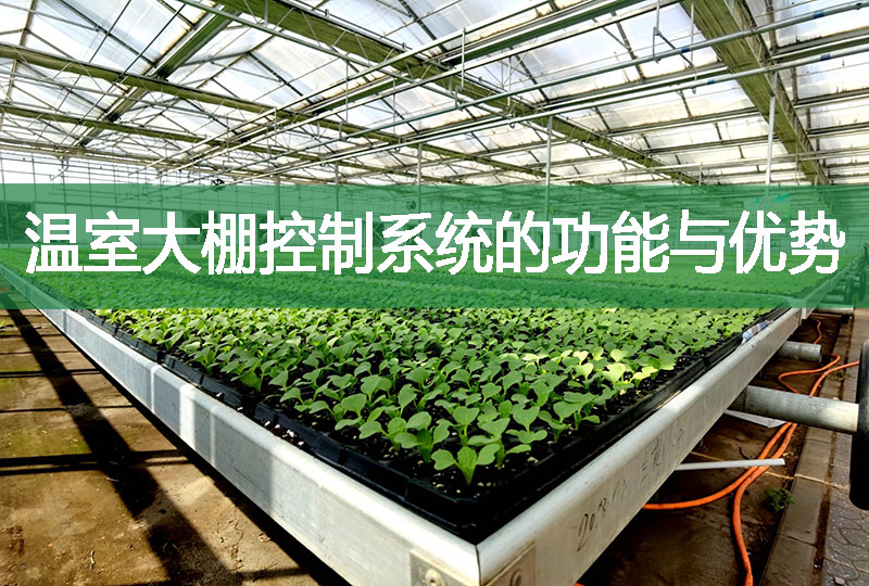 溫室大棚控制系統的功能與優勢