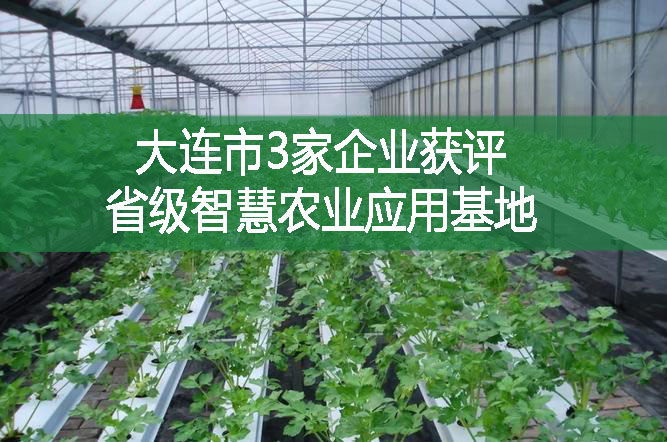 大連市3家企業獲評省級智慧農業應用基地