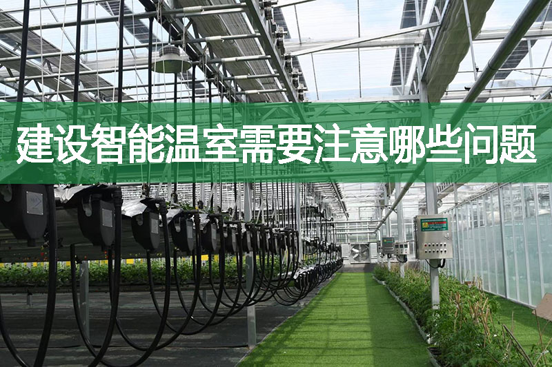 建設智能溫室需要注意哪些問題