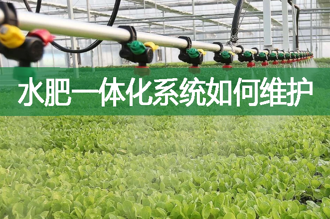 水肥一體化系統(tǒng)如何維護(hù)