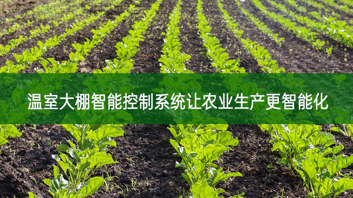 溫室大棚智能控制系統(tǒng)讓農業(yè)生產更智能化