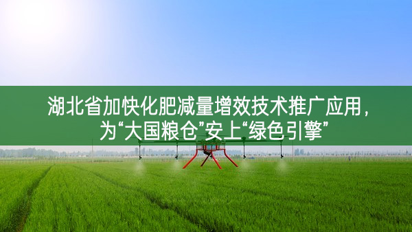 湖北省加快化肥減量增效技術推廣應用，為“大國糧倉”安上“綠色引擎”