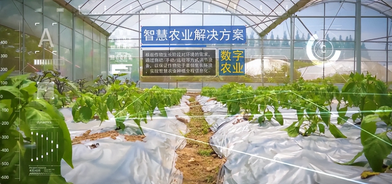 溫室大棚智能控制系統(tǒng)