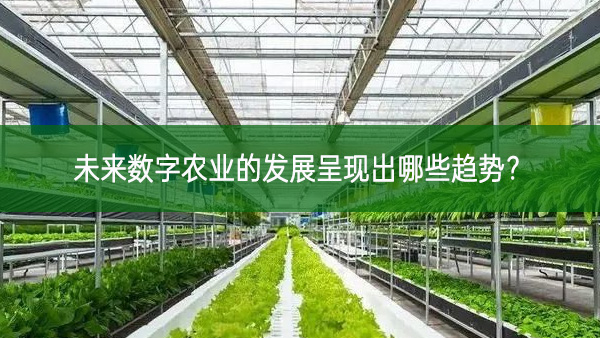 未來數字農業的發展呈現出哪些趨勢？