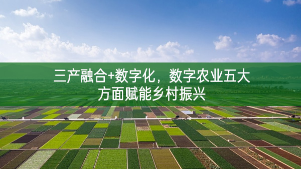 三產融合+數字化,數字農業五大方面賦能鄉村振興