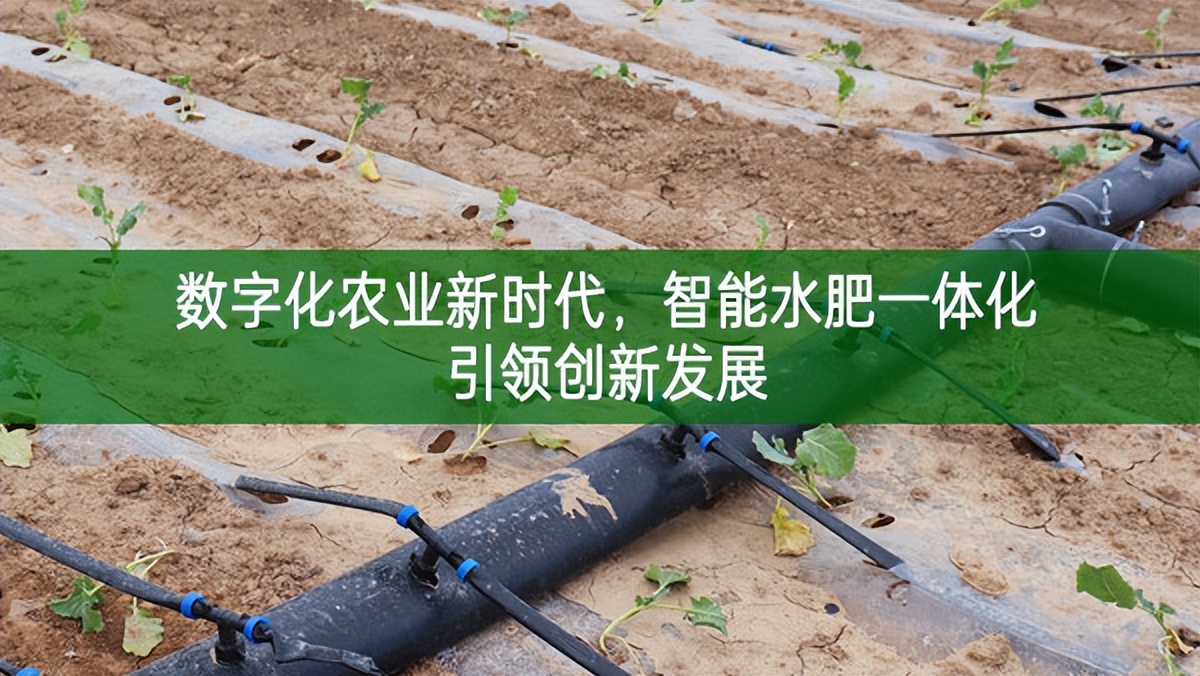 數字化農業新時代,智能水肥一體化引領創新發展
