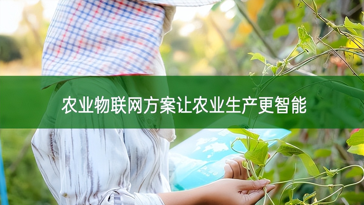 農(nóng)業(yè)物聯(lián)網(wǎng)方案讓農(nóng)業(yè)生產(chǎn)更智能