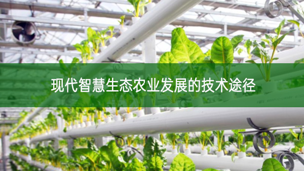 現(xiàn)代智慧生態(tài)農(nóng)業(yè)發(fā)展的技術(shù)途徑