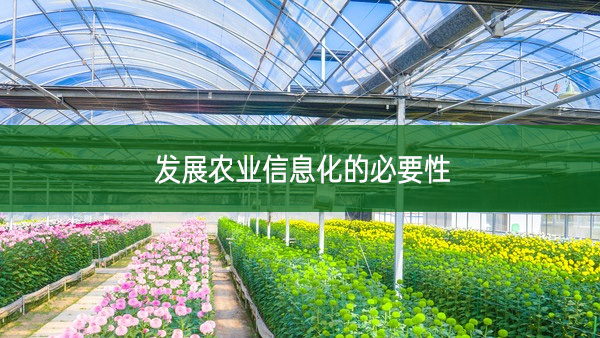 發(fā)展農(nóng)業(yè)信息化的必要性