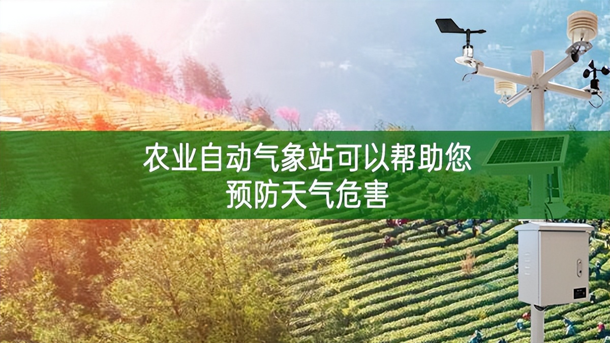 農(nóng)業(yè)自動氣象站可以幫助您預(yù)防天氣危害