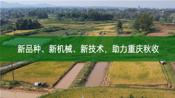 新品種 新機械 新技術(shù) 助力重慶秋收
