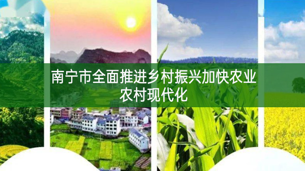 南寧市全面推進鄉村振興加快農業農村現代化