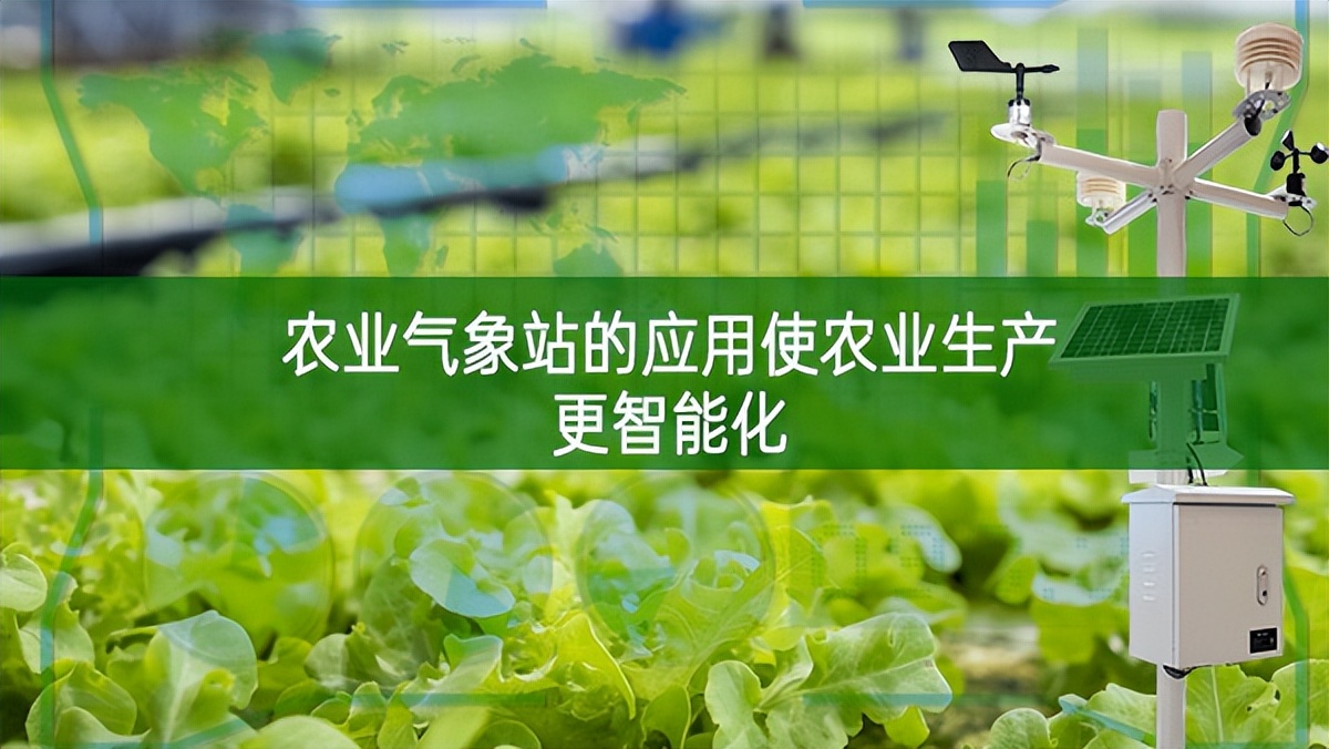 農(nóng)業(yè)氣象站的應(yīng)用使農(nóng)業(yè)生產(chǎn)更智能化
