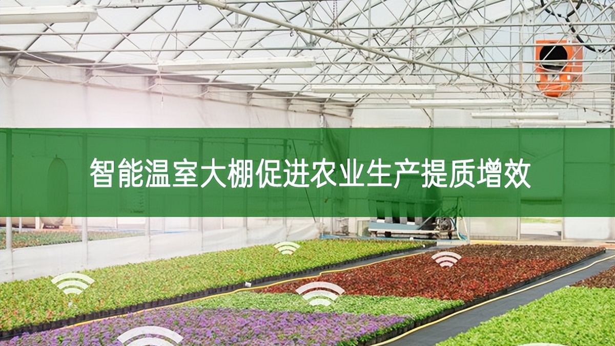 智能溫室大棚促進(jìn)農(nóng)業(yè)生產(chǎn)提質(zhì)增效