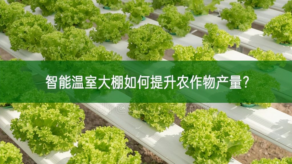 智能溫室大棚如何提升農作物產量？
