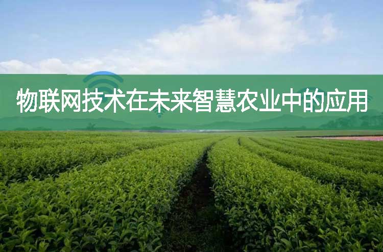 物聯(lián)網(wǎng)技術(shù)在未來智慧農(nóng)業(yè)中的應(yīng)用