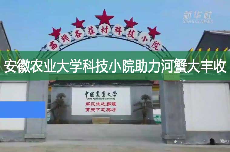 安徽農(nóng)業(yè)大學(xué)科技小院助力河蟹大豐收