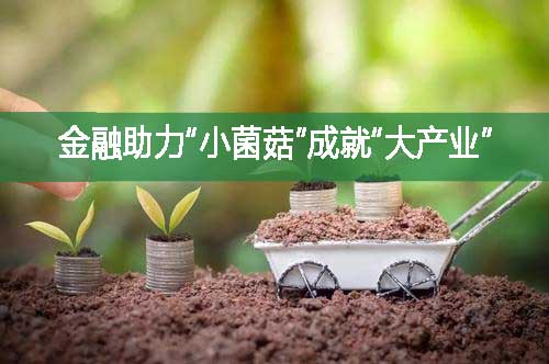 金融助力“小菌菇”成就“大產業”