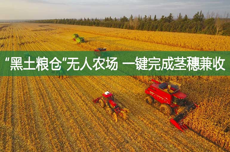 “黑土糧倉”無人農(nóng)場 一鍵完成莖穗兼收