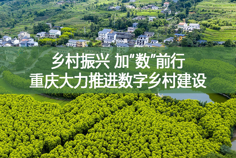 鄉村振興 加“數”前行 重慶大力推進數字鄉村建設