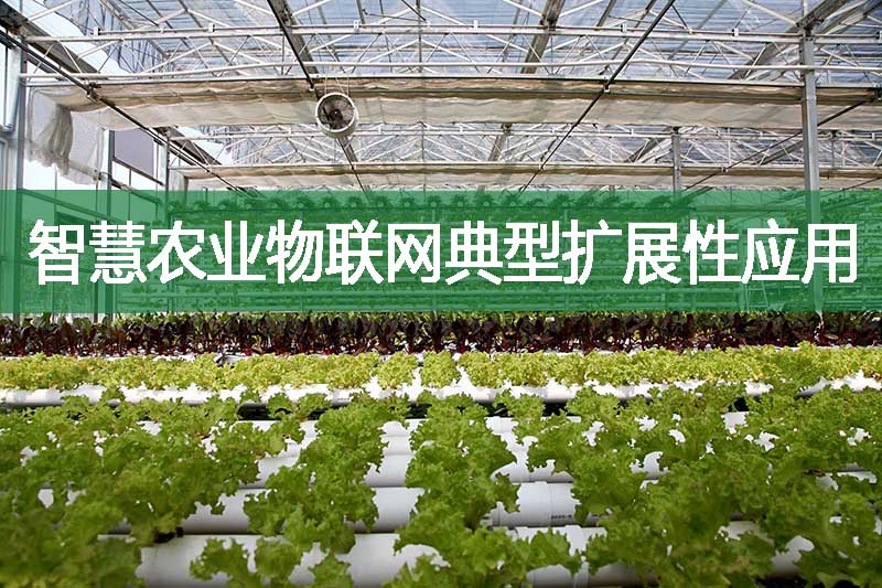 智慧農(nóng)業(yè)物聯(lián)網(wǎng)典型擴展性應(yīng)用