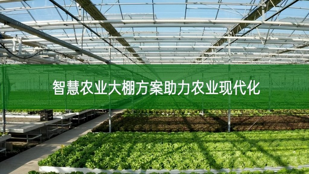 智慧農業大棚方案助力農業現代化 智慧農業大棚方案助力農業現代化