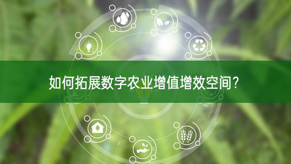 如何拓展數字農業增值增效空間？