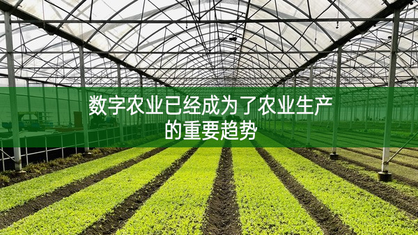 數(shù)字農(nóng)業(yè)已經(jīng)成為了農(nóng)業(yè)生產(chǎn)的重要趨勢(shì) 數(shù)字農(nóng)業(yè)已經(jīng)成為了農(nóng)業(yè)生產(chǎn)的重要趨勢(shì)