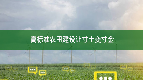 高標(biāo)準(zhǔn)農(nóng)田建設(shè)讓寸土變寸金