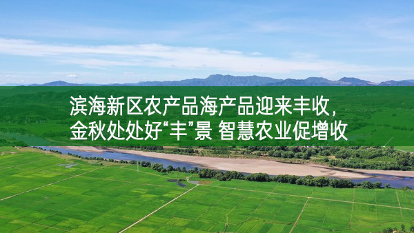 濱海新區(qū)農(nóng)產(chǎn)品海產(chǎn)品迎來豐收 金秋處處好“豐”景 智慧農(nóng)業(yè)促增收