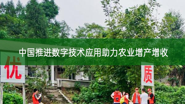 中國推進數字技術應用助力農業增產增收