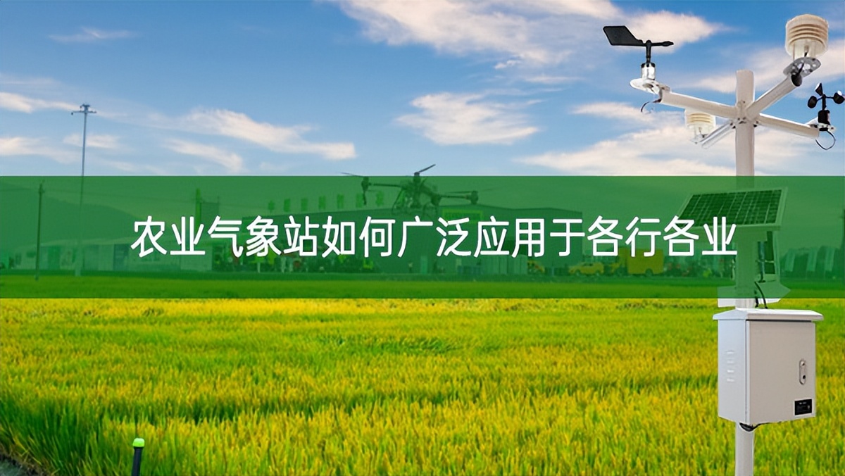農(nóng)業(yè)氣象站如何廣泛應用于各行各業(yè) 農(nóng)業(yè)氣象站如何廣泛應用于各行各業(yè)