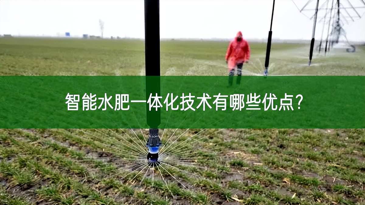 智能水肥一體化技術有哪些優點?
