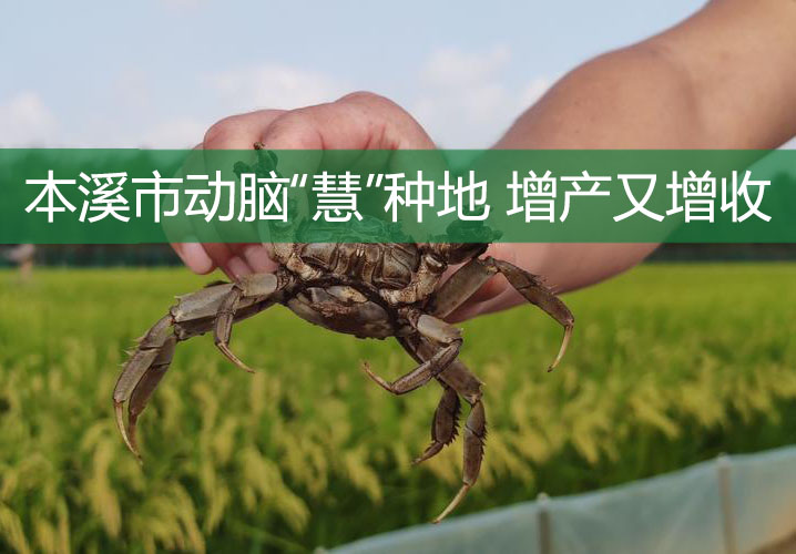 本溪市動腦“慧”種地 增產又增收