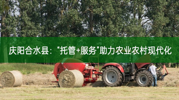慶陽合水縣：“托管+服務”助力農業(yè)農村現(xiàn)代化