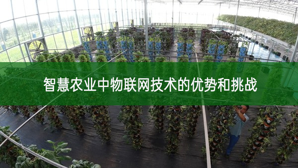 智慧農(nóng)業(yè)中物聯(lián)網(wǎng)技術(shù)的優(yōu)勢和挑戰(zhàn)