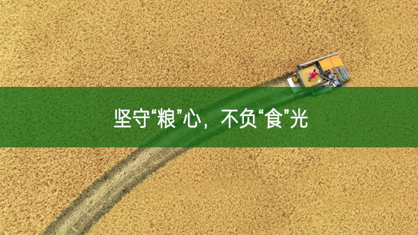 堅(jiān)守“糧”心，不負(fù)“食”光