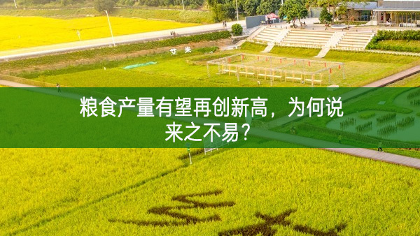 糧食產量有望再創新高 為何說來之不易?