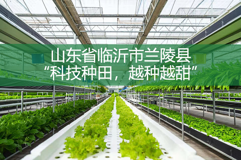 山東省臨沂市蘭陵縣——“科技種田，越種越甜”